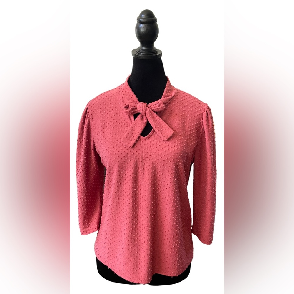 W5: Mauve Pink Swiss Dot Blouse with Front Tie